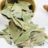 eucalyptus eucalyptus
