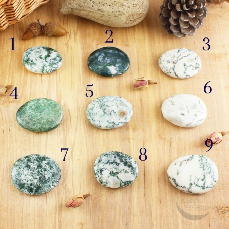 Agate mousse Galet Agate mousse Galet