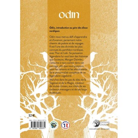 Livre Odin : Introduction au père des dieux nordiques