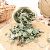 Menthe verte bio Menthe verte bio