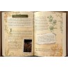 Grimoire de magie forestière Grimoire de magie forestière