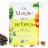 La magie des arbres La magie des arbres