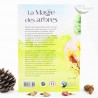 La magie des arbres La magie des arbres