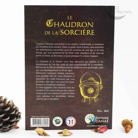 Le chaudron de la sorcière Le chaudron de la sorcière