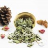 Sauge officinale bio Sauge officinale bio