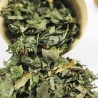 Basilic Basilic