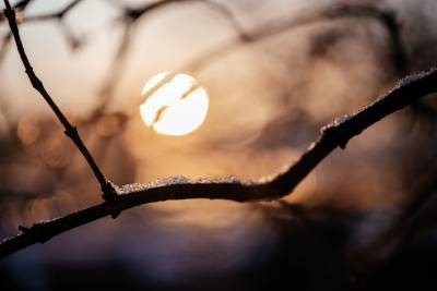 Soleil couchant en hiver lors du solstice d'hiver à Yule