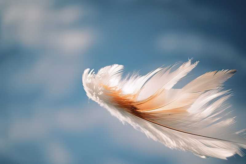L'élément air dans la pratique spirituelle, magique et sorcière, symbolisé par une plume dans le vent
