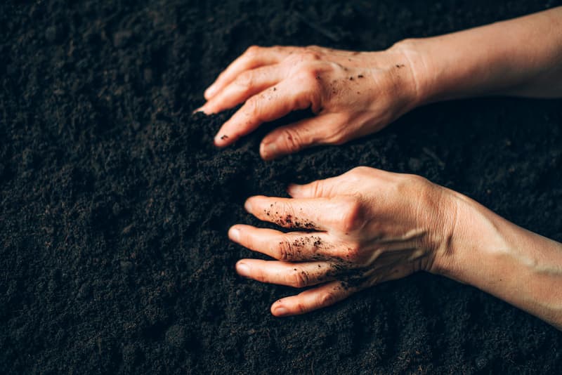 Une femme touche la terre avec ses mains.