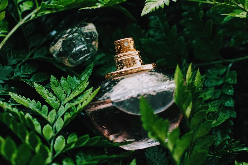 Parfum magique et magie des plantes