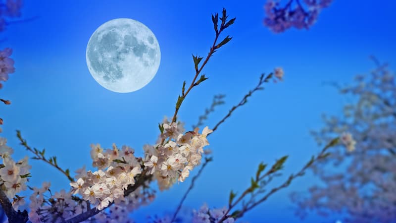 Pleine lune des fleurs mai 2025