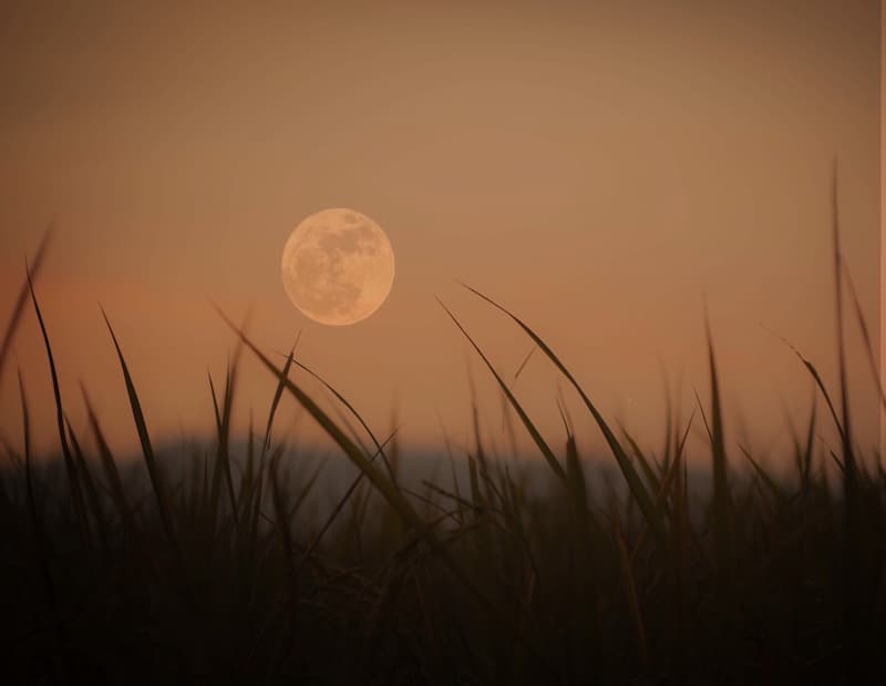 Pleine lune des moissons au mois d'août au dessus d'un champ