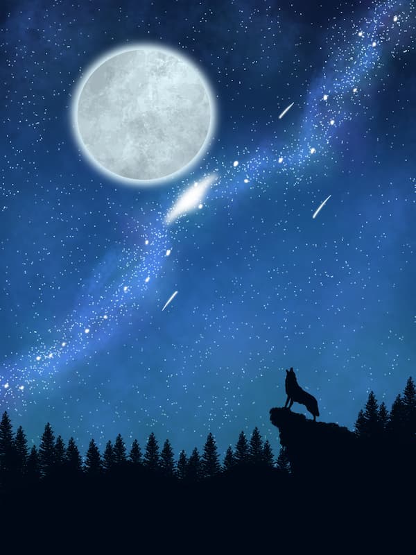 Loup hurlant à la pleine lune sur un rocher dans une forêt sous un ciel étoilé