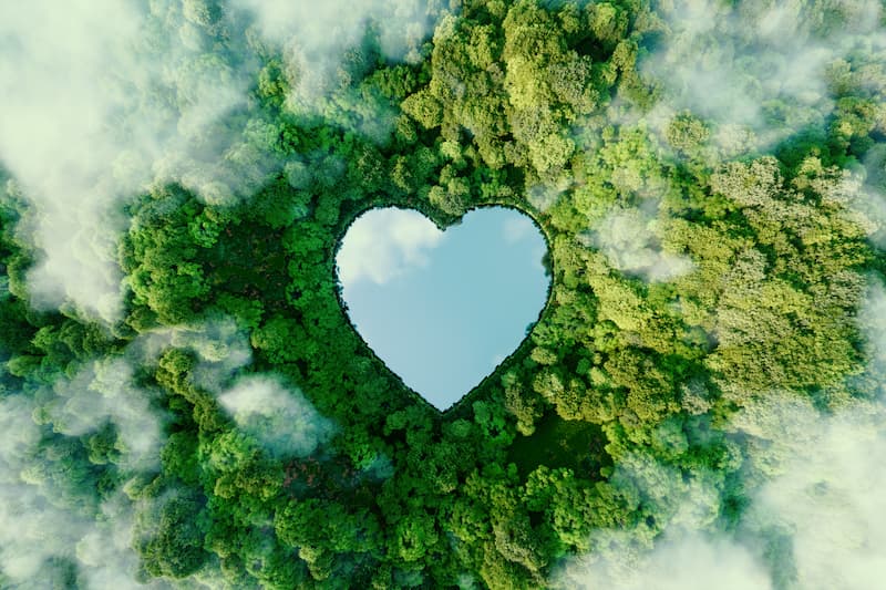 Un lac en forme de coeur vu du ciel dans une nature verdoyante