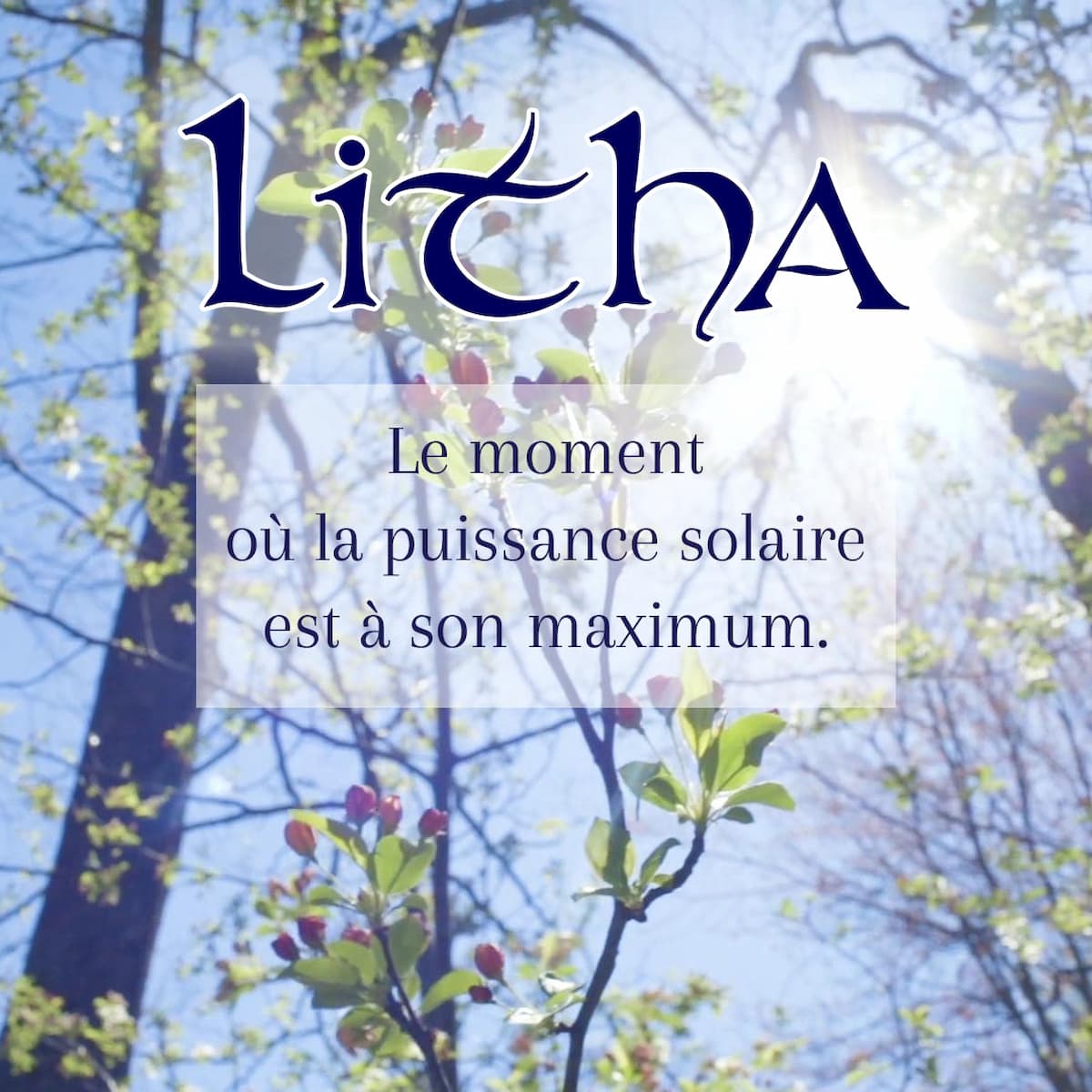 Litha, sabbat du solstice d'été, un ciel bleu sous le soleil rayonnant dans une forêt